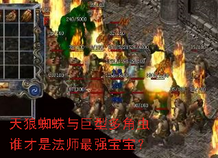 天狼蜘蛛与巨型多角虫谁才是法师最强宝宝? 天狼蜘蛛与巨型多角虫谁才是法师最强宝宝?