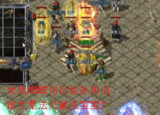 天狼蜘蛛与巨型多角虫谁才是法师最强宝宝? 天狼蜘蛛与巨型多角虫谁才是法师最强宝宝?