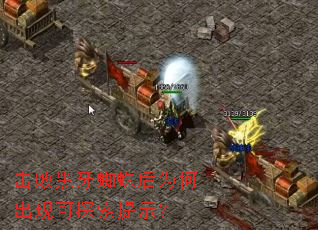 ���ܺ���֩���Ϊ�γ��ֿ�̽����ʾ��