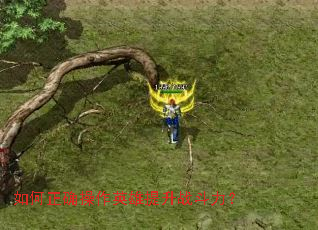 如何正确操作英雄提升战斗力? 如何正确操作英雄提升战斗力?