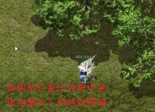 如何前往复古传奇中的钳虫巢穴?附路线图解 如何前往复古传奇中的钳虫巢穴?附路线图解