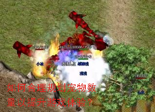 ��κ����滮����������������Ϸ���飿