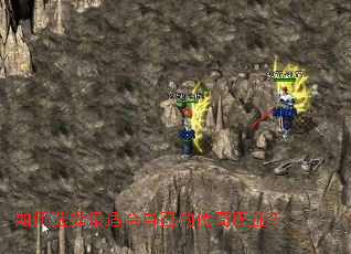 ���ѡ�����ʺ��Լ��Ĵ���ְҵ��