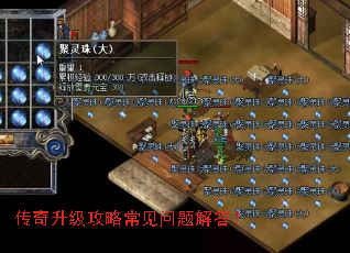 �����������Գ���������