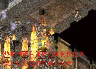 ��Ѫ����˽��������ο��ٻָ�����ҽ���֮·��ô�ߣ�