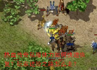 ��Ѫ����˽��������ο��ٻָ�����ҽ���֮·��ô�ߣ�