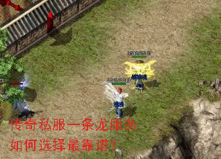 ����˽��һ�����������ѡ����ף�