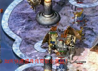 ��ο�����������ְҵ�ȼ���