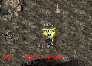 ��ο�����������ְҵ�ȼ���