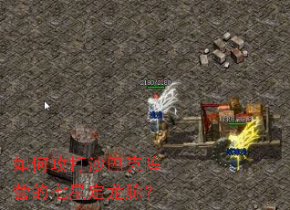 ��ι���ɳ�Ϳ���Ӫ�����Ƕ�������