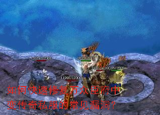 ��ο����޸����ڳ����б䴫��˽���ĳ���©����