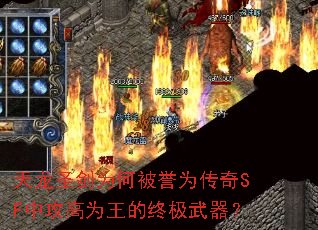 ����ʥ��Ϊ�α���Ϊ����SF�й���Ϊ�����ռ�������