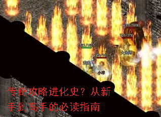 传奇攻略进化史?从新手到高手的必读指南 传奇攻略进化史?从新手到高手的必读指南