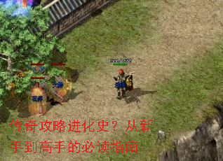 传奇攻略进化史?从新手到高手的必读指南 传奇攻略进化史?从新手到高手的必读指南