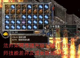 法师如何快速升级?道士与法师技能差异及成长路线对比 法师如何快速升级?道士与法师技能差异及成长路线对比