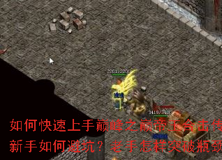 ��ο��������۷�֮�۵����ϻ����棿������αܿӣ���������ͻ��ƿ����