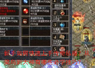 新手如何快速上手传奇私服?从菜鸟到大神有哪些必学技巧? 新手如何快速上手传奇私服?从菜鸟到大神有哪些必学技巧?