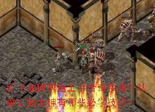 新手如何快速上手传奇私服?从菜鸟到大神有哪些必学技巧? 新手如何快速上手传奇私服?从菜鸟到大神有哪些必学技巧?