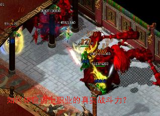 ��������ʿְҵ����ʵս������