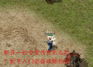 �¿�һ���б䴫����ô�棿�������űر�����ָ��