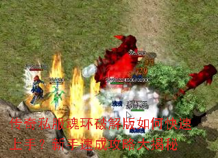 ����˽���껷�ƽ����ο������֣������ٳɹ��Դ����