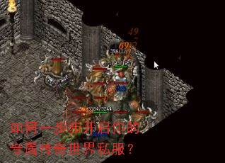 ���һ�����������ר����������˽����