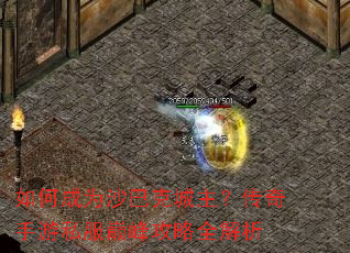 ��γ�Ϊɳ�Ϳ˳�������������˽���۷幥��ȫ����