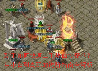 ������ο���������Ѫ����������С�׵�����Ľ���ָ��ȫ����