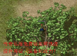 传奇私服免费版如何快速提升等级、装备和战力? 传奇私服免费版如何快速提升等级、装备和战力?