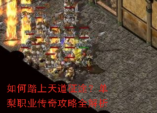 如何踏上天道征途?单梨职业传奇攻略全解析 如何踏上天道征途?单梨职业传奇攻略全解析