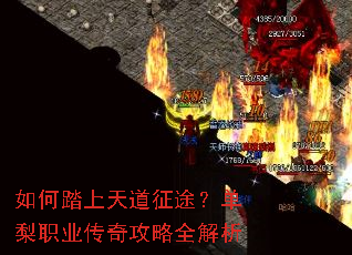 如何踏上天道征途?单梨职业传奇攻略全解析 如何踏上天道征途?单梨职业传奇攻略全解析