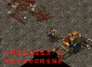 如何踏上天道征途?单梨职业传奇攻略全解析 如何踏上天道征途?单梨职业传奇攻略全解析