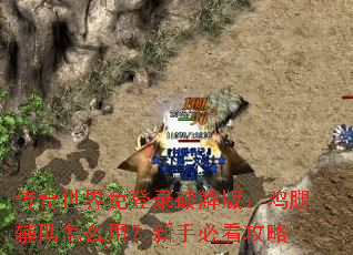 传奇世界免登录破解版:鸡腿辅助怎么用?新手必看攻略 传奇世界免登录破解版:鸡腿辅助怎么用?新手必看攻略