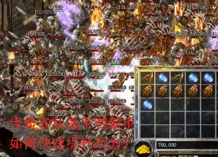 ����3D˽������������ο�������ս����