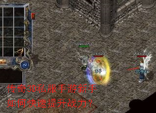 ����3D˽������������ο�������ս����