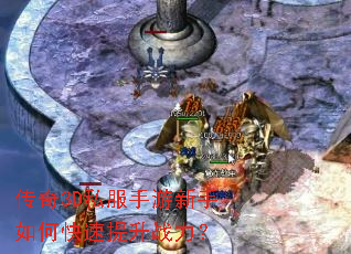 ����3D˽������������ο�������ս����