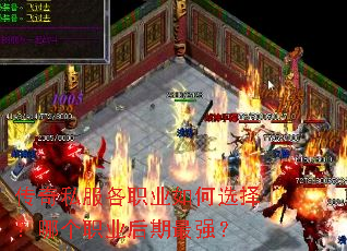 ����˽����ְҵ���ѡ���ĸ�ְҵ������ǿ��