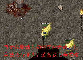 ����˽��������ο����������򱦼�������Щ��װ����ȡȫ����