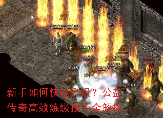 ������ο������������洫���Ч��������ȫ����