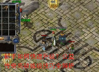 ������ο������������洫���Ч��������ȫ����