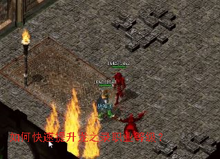 如何快速提升龙之录职业等级? 如何快速提升龙之录职业等级?