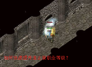如何快速提升龙之录职业等级? 如何快速提升龙之录职业等级?