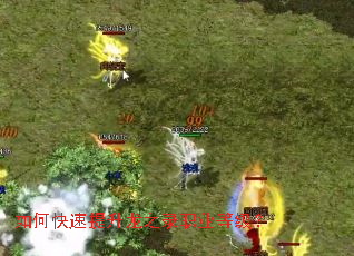 如何快速提升龙之录职业等级? 如何快速提升龙之录职业等级?