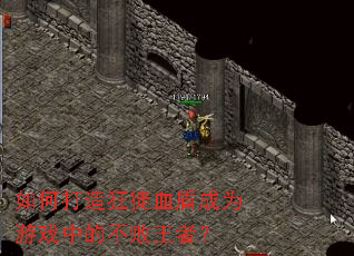 如何打造狂徒血盾成为游戏中的不败王者? 如何打造狂徒血盾成为游戏中的不败王者?