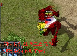 如何打造狂徒血盾成为游戏中的不败王者? 如何打造狂徒血盾成为游戏中的不败王者?