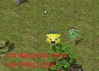 ��ο������������ʧ����ĵȼ���װ����