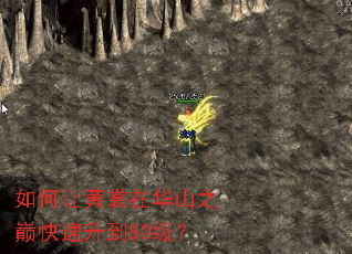 ����û����ڻ�ɽ֮�ۿ�������80����