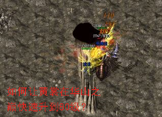 ����û����ڻ�ɽ֮�ۿ�������80����