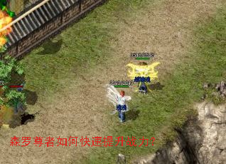 森罗尊者如何快速提升战力? 森罗尊者如何快速提升战力?