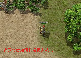 森罗尊者如何快速提升战力? 森罗尊者如何快速提升战力?